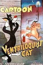 Watch Ventriloquist Cat Letmewatchthis