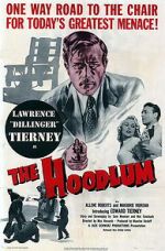 Watch The Hoodlum Letmewatchthis