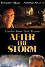 Watch After the Storm Letmewatchthis