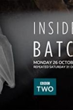 Watch Inside the Bat Cave Letmewatchthis