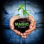 Watch The Magic Plant Letmewatchthis