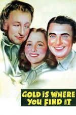 Watch Gold Is Where You Find It Letmewatchthis
