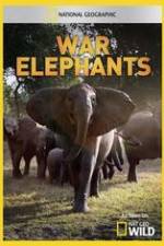 Watch War Elephants Letmewatchthis