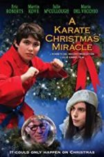 Watch A Karate Christmas Miracle Letmewatchthis