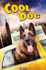 Watch Cool Dog Letmewatchthis