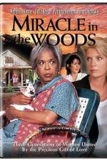Watch Miracle in the Woods Letmewatchthis