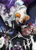 Watch Bleach the Movie 2: The Diamond Dust Rebellion Letmewatchthis