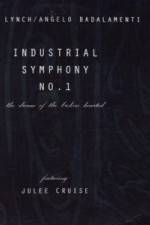 Watch Industrial Symphony No 1 The Dream of the Brokenhearted Letmewatchthis