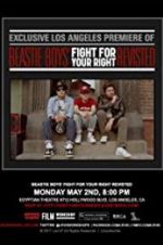Watch Beastie Boys: Fight for Your Right Revisited Putlocker