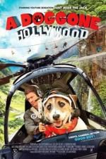 Watch A Doggone Hollywood Letmewatchthis
