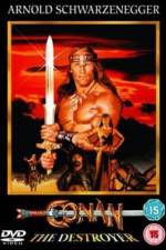 Watch Conan the Destroyer Letmewatchthis