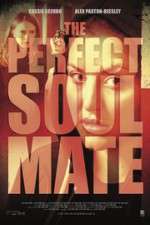 Watch The Perfect Soulmate Letmewatchthis