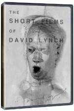 Watch The Short Films of David Lynch Letmewatchthis