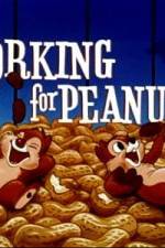 Watch Working For Peanuts Letmewatchthis