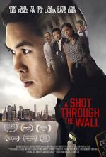 Watch A Shot Through the Wall Letmewatchthis
