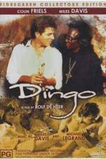 Watch Dingo Letmewatchthis