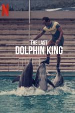 Watch The Last Dolphin King Letmewatchthis