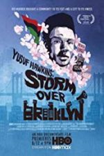 Watch Yusuf Hawkins: Storm Over Brooklyn Letmewatchthis