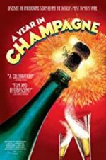 Watch A Year in Champagne Letmewatchthis