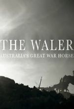 Watch The Waler: Australia\'s Great War Horse Letmewatchthis