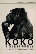 Watch Koko, le gorille qui parle Letmewatchthis