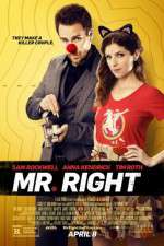 Watch Mr. Right Letmewatchthis