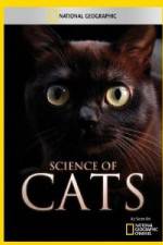 Watch National Geographic Science of Cats Letmewatchthis