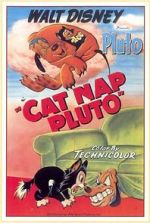 Watch Cat Nap Pluto Letmewatchthis