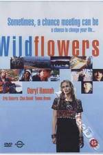 Watch Wildflowers Letmewatchthis