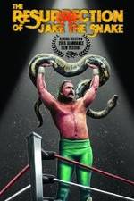 Watch The Resurrection of Jake The Snake Roberts Letmewatchthis