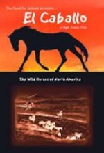 Watch El Caballo: The Wild Horses of North America Letmewatchthis