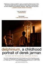 Watch Delphinium: A Childhood Portrait of Derek Jarman Letmewatchthis