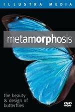 Watch Metamorphosis: The Beauty and Design of Butterflies Letmewatchthis