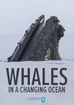 Watch Whales in a Changing Ocean (Short 2021) Online Letmewatchthis