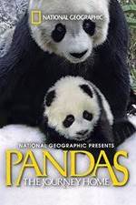 Watch Pandas: The Journey Home Letmewatchthis