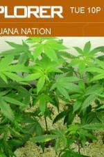 Watch Marijuana Nation Letmewatchthis