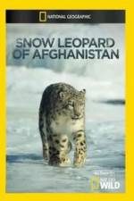 Watch Snow Leopard of Afghanistan Letmewatchthis
