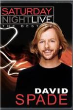 Watch Saturday Night Live The Best of David Spade Letmewatchthis