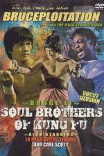 Watch Soul Brothers of Kung Fu Letmewatchthis