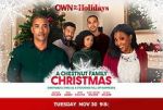 Watch A Chestnut Family Christmas Letmewatchthis