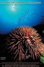 Watch Crown of Thorns Starfish Monster from the Shallows Letmewatchthis