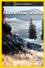 Watch National Geographic Yellowstone Winter Letmewatchthis