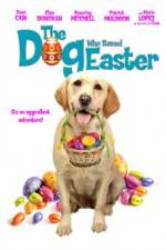 Watch The Dog Who Saved Easter Letmewatchthis