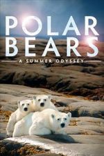 Watch Polar Bears: A Summer Odyssey Letmewatchthis