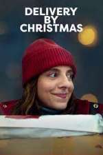 Watch Delivery by Christmas Letmewatchthis
