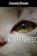 Watch Kittenhood Letmewatchthis