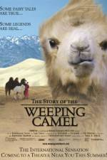Watch The Story of the Weeping Camel Letmewatchthis