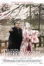 Watch Cherry Blossoms Letmewatchthis
