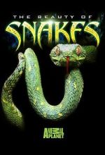 Watch Beauty of Snakes Letmewatchthis