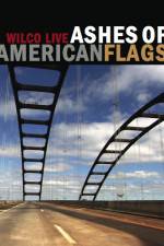 Watch Ashes of American Flags Wilco Live Letmewatchthis